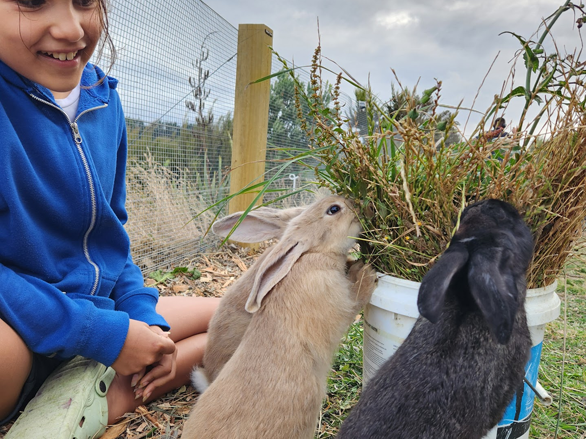 Should You Choose a Boy, a Girl, or Both?