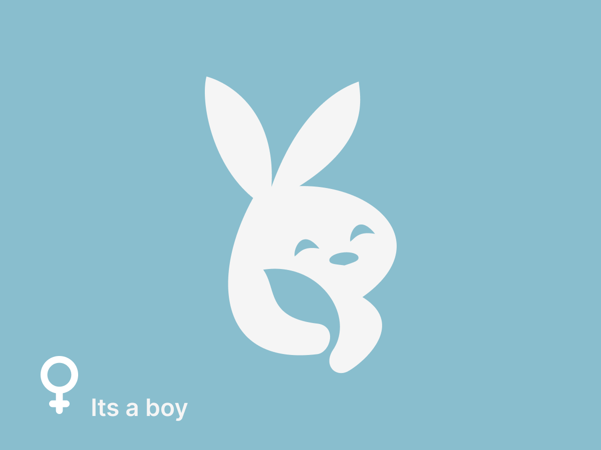 Boy #3 – Nov 2025 Litter (Pre-order)