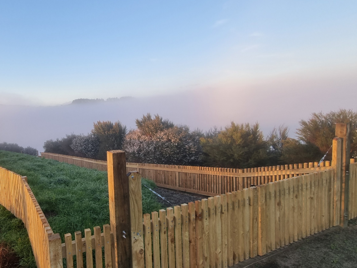 Bunny Proof Fencing - Site Visit & Plan