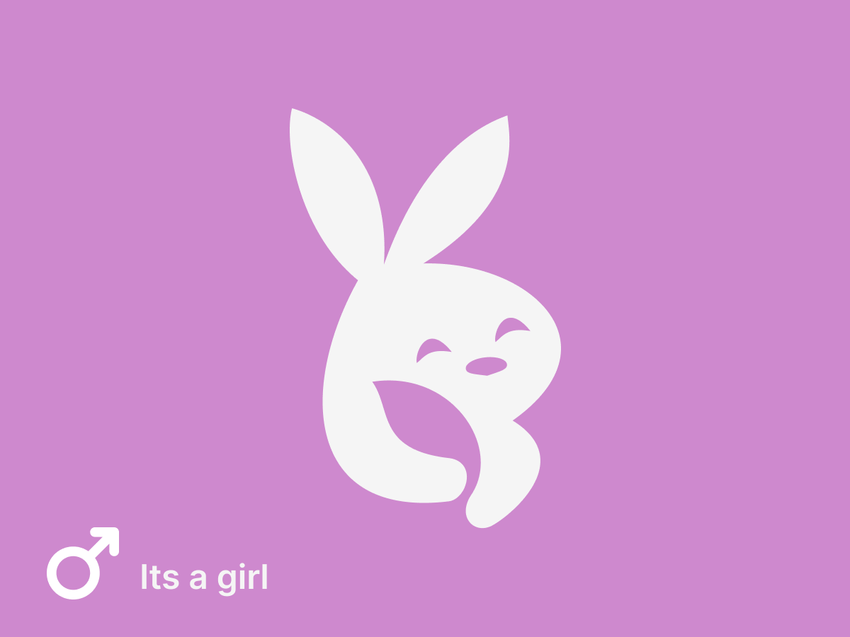 Girl #1 – Nov 2025 Litter (Pre-order)