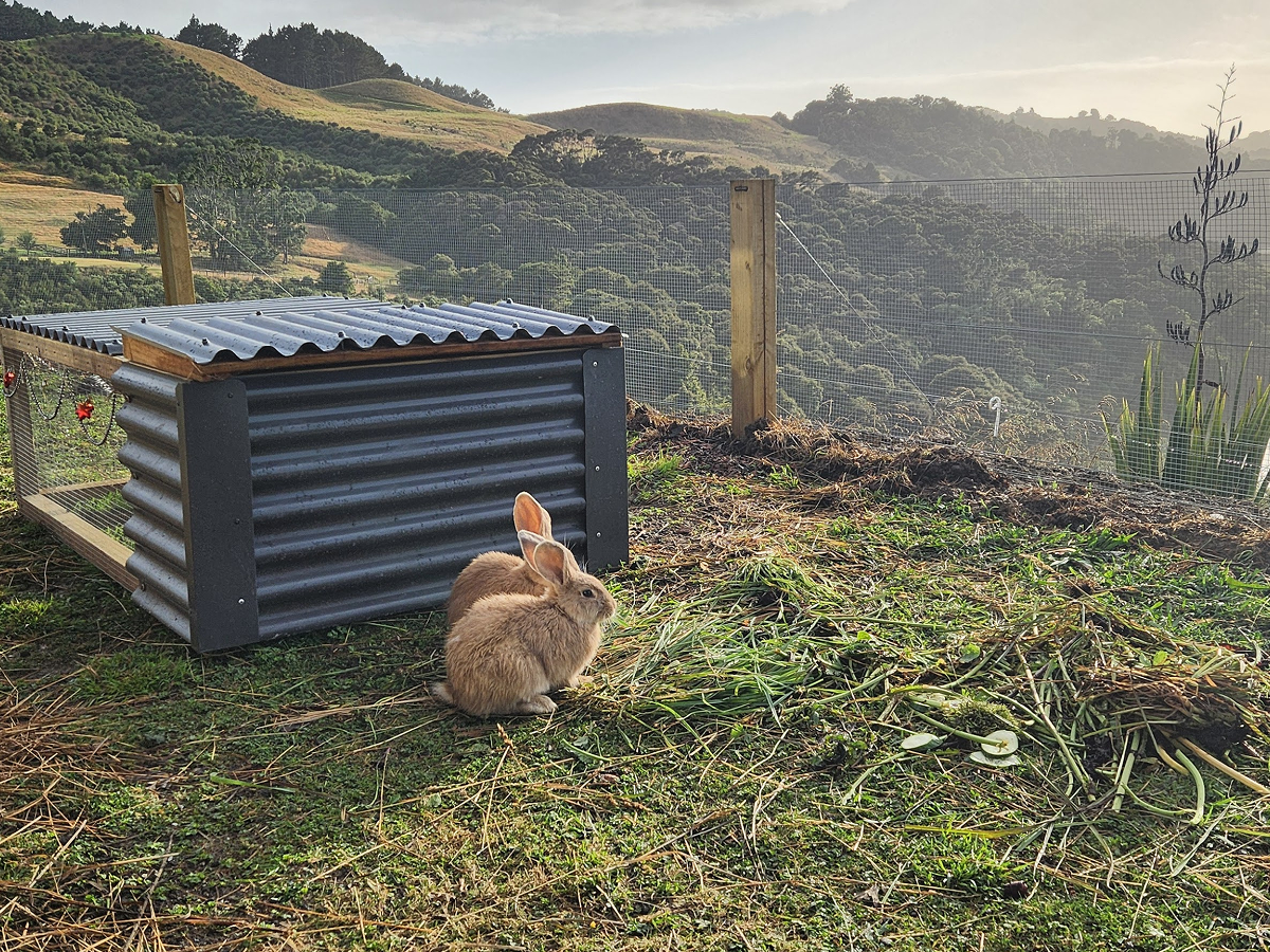 Rabbit hutch - Safe, secure and comfy